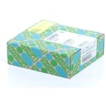 Sicherheitsrelais PSR-SCP-24UC/THC4/2X1/1X2 